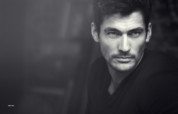 David Gandy pic #530308