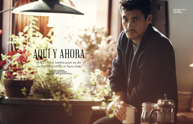 David Gandy pic #530309