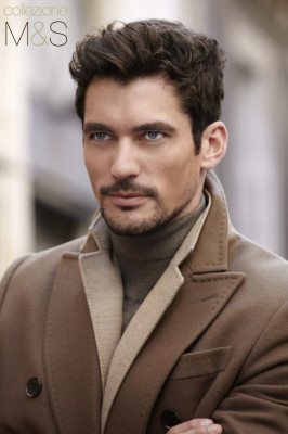 David Gandy pic #558005
