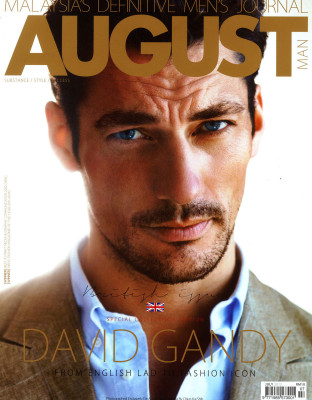 David Gandy pic #523289