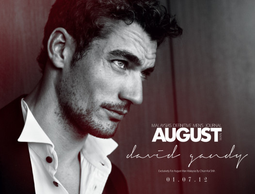 David Gandy pic #514092