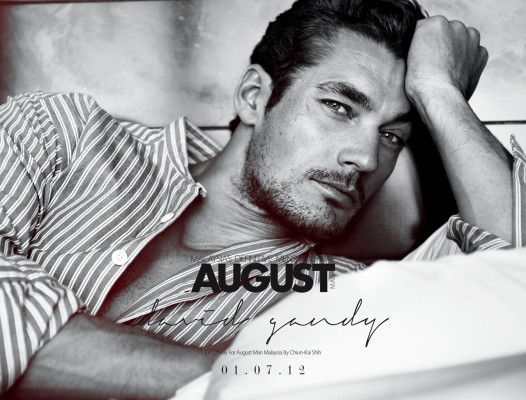 David Gandy pic #514091