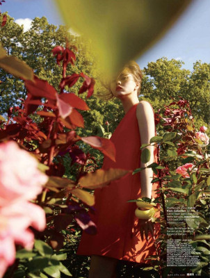 photo 23 in Devon Aoki gallery [id328119] 2011-01-18 00:00:00