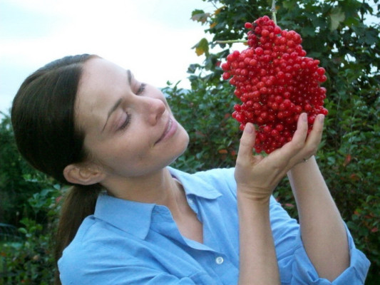Ekaterina Guseva pic #468322