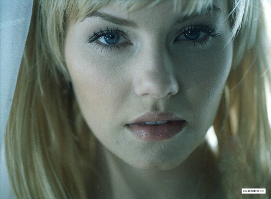 Elisha Cuthbert pic #163015