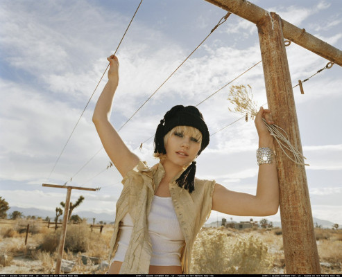 Elisha Cuthbert pic #33356