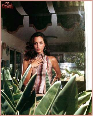 Eliza Dushku pic #8878