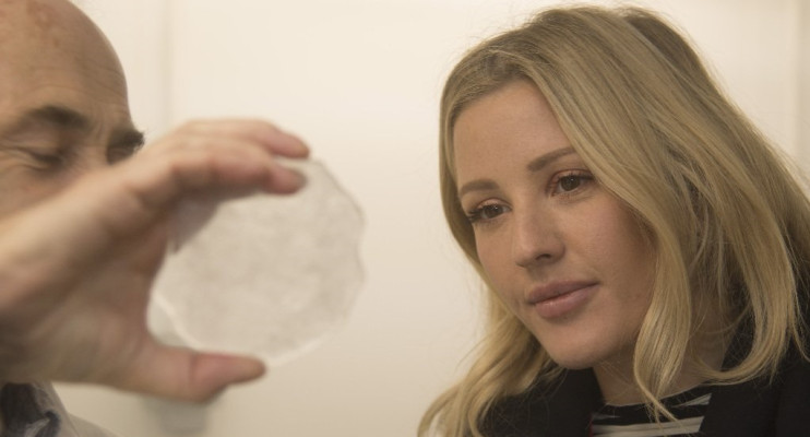 photo 19 in Ellie Goulding gallery [id997775] 2018-01-13 00:00:00
