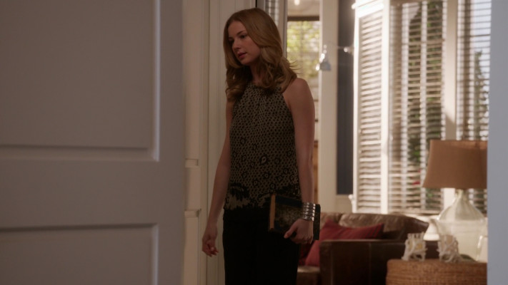 Emily van Camp pic #1231227
