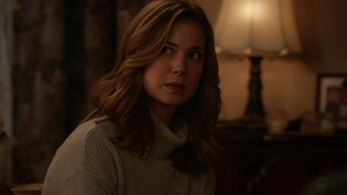 Emily van Camp pic #1216701