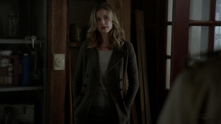 Emily van Camp pic #1216698