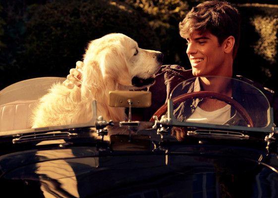 photo 21 in Evandro Soldati gallery [id341491] 2011-02-14 00:00:00