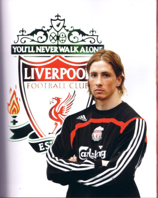 photo 8 in Fernando Torres gallery [id299499] 2010-10-26 00:00:00