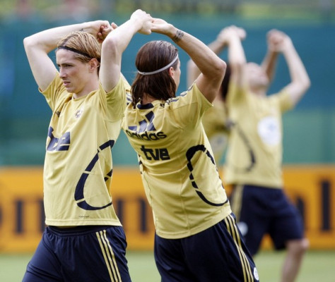 Fernando Torres pic #101419