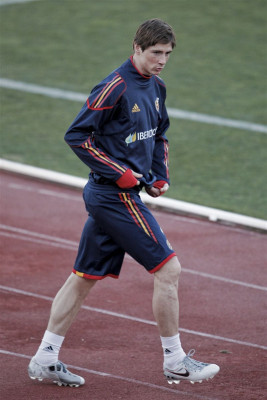 photo 22 in Fernando Torres gallery [id342239] 2011-02-14 00:00:00