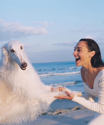 Gal Gadot pic #1238952