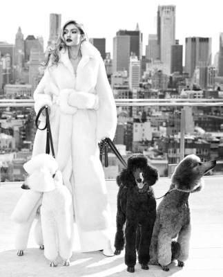 Gigi Hadid pic #1028969