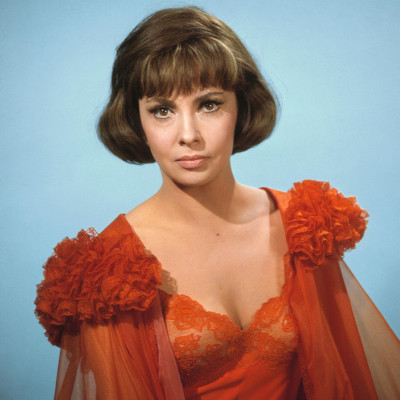 photo 22 in Gina Lollobrigida gallery [id344392] 2011-02-22 00:00:00