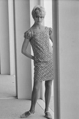 Goldie Hawn pic #202933