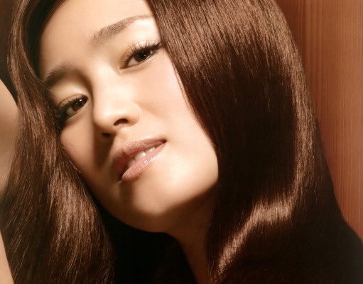photo 28 in Gong Li gallery [id315050] 2010-12-15 00:00:00