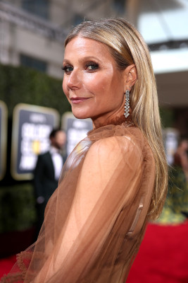 photo 14 in Gwyneth Paltrow gallery [id1198022] 2020-01-06 00:00:00