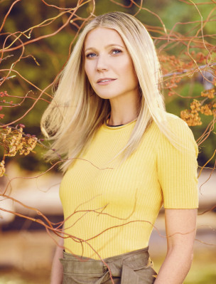 Gwyneth Paltrow pic #891218