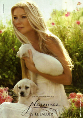 photo 27 in Gwyneth Paltrow gallery [id212440] 2009-12-10 00:00:00