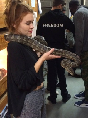 Holland Roden pic #742306