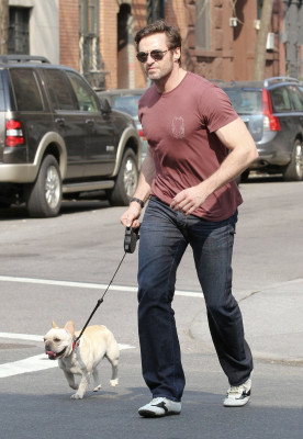 photo 18 in Hugh Jackman gallery [id691422] 2014-04-22 00:00:00