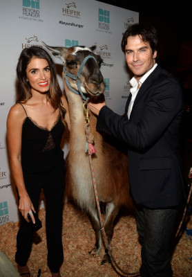 Ian Somerhalder pic #804783