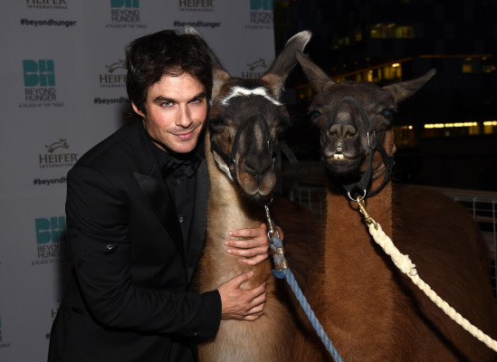 Ian Somerhalder pic #728964