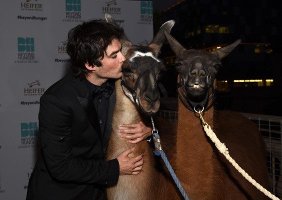 Ian Somerhalder pic #728952