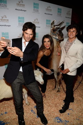 Ian Somerhalder pic #804792