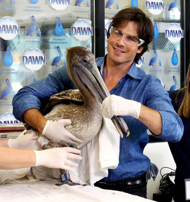 Ian Somerhalder pic #804800