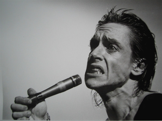 photo 9 in Iggy Pop gallery [id192627] 2009-11-03 00:00:00