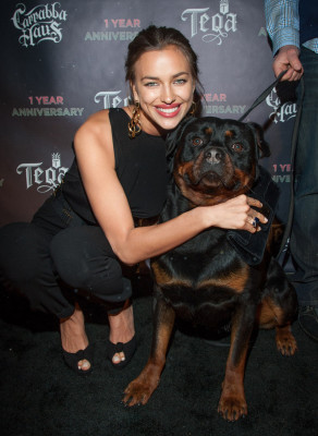 Irina Sheik pic #651150