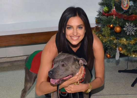 Irina Sheik pic #655692
