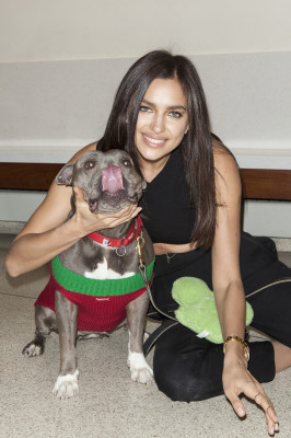 Irina Sheik pic #655664