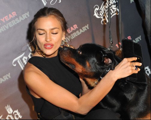 Irina Sheik pic #456165