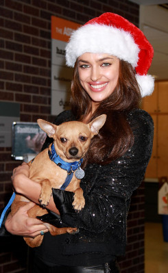Irina Sheik pic #428863
