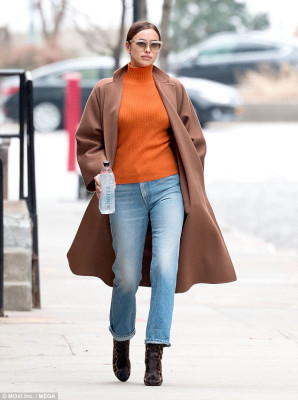 Irina Sheik pic #1020979