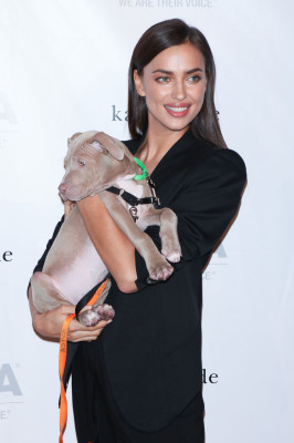 Irina Sheik pic #805141