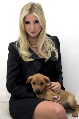 Ivanka Trump pic #68924