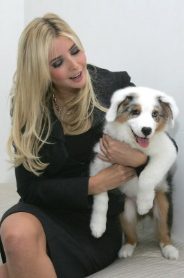 Ivanka Trump pic #89187