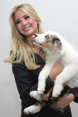 Ivanka Trump pic #89188