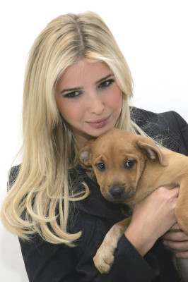 Ivanka Trump pic #83260