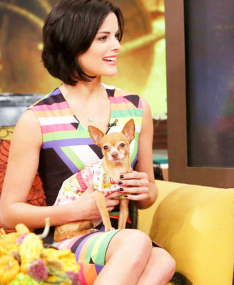 Jaimie Alexander pic #651939