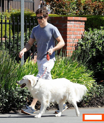 photo 11 in James Marsden gallery [id593415] 2013-04-10 00:00:00