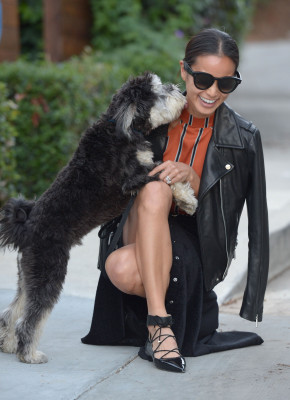 photo 17 in Jamie Chung gallery [id814311] 2015-11-23 00:00:00