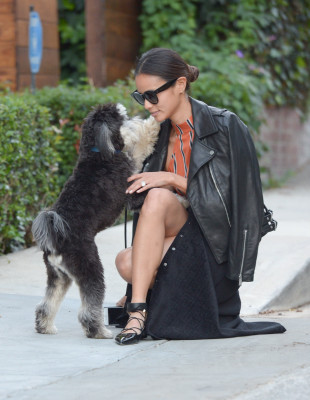 photo 19 in Jamie Chung gallery [id814309] 2015-11-23 00:00:00